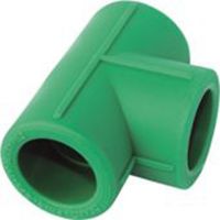 PK PPR Đệ Nhất – Tê(Tee)